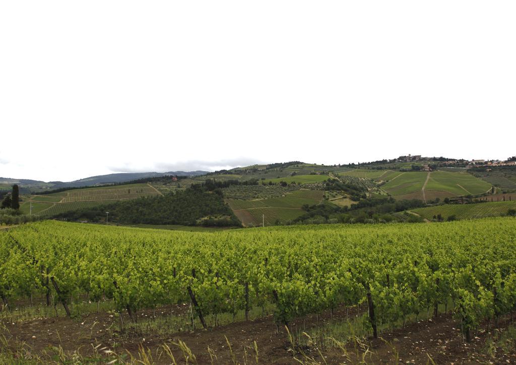 Podere Il Poggiolo Pontassieve Exterior foto